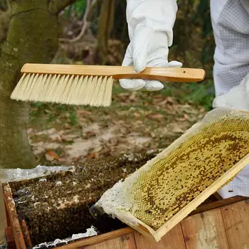Полезная Пчеловодческая щетка Многоцелевой Сбор Меда Портативная деревянная ручка Пчелиная щетка Инструмент для пчеловода